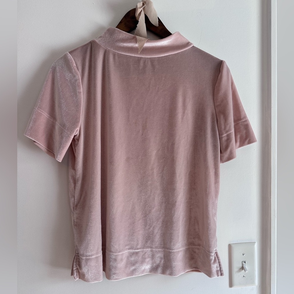 Elegant Anthropologie Pink Velvet Women's Top - Picture 4 of 7